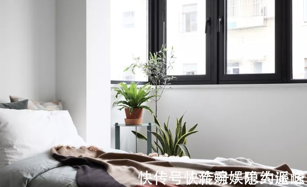 收纳|小户型要这么装,24㎡玄关秒变厨房和洗衣房,收纳翻倍方便实用!