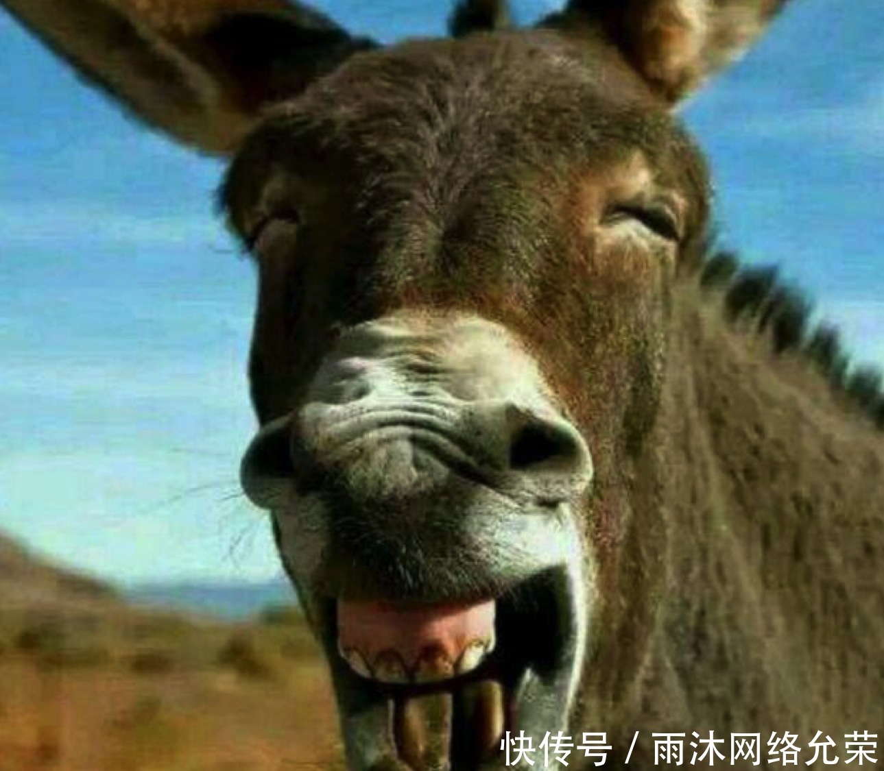 临走前|颜良临走前刘备说了一席话，与颜良被杀关系很大