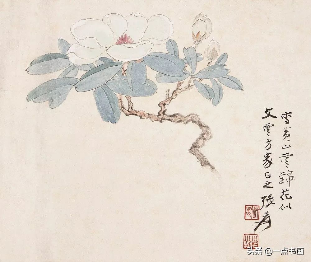 工笔&张大千 花鸟画100幅高清欣赏