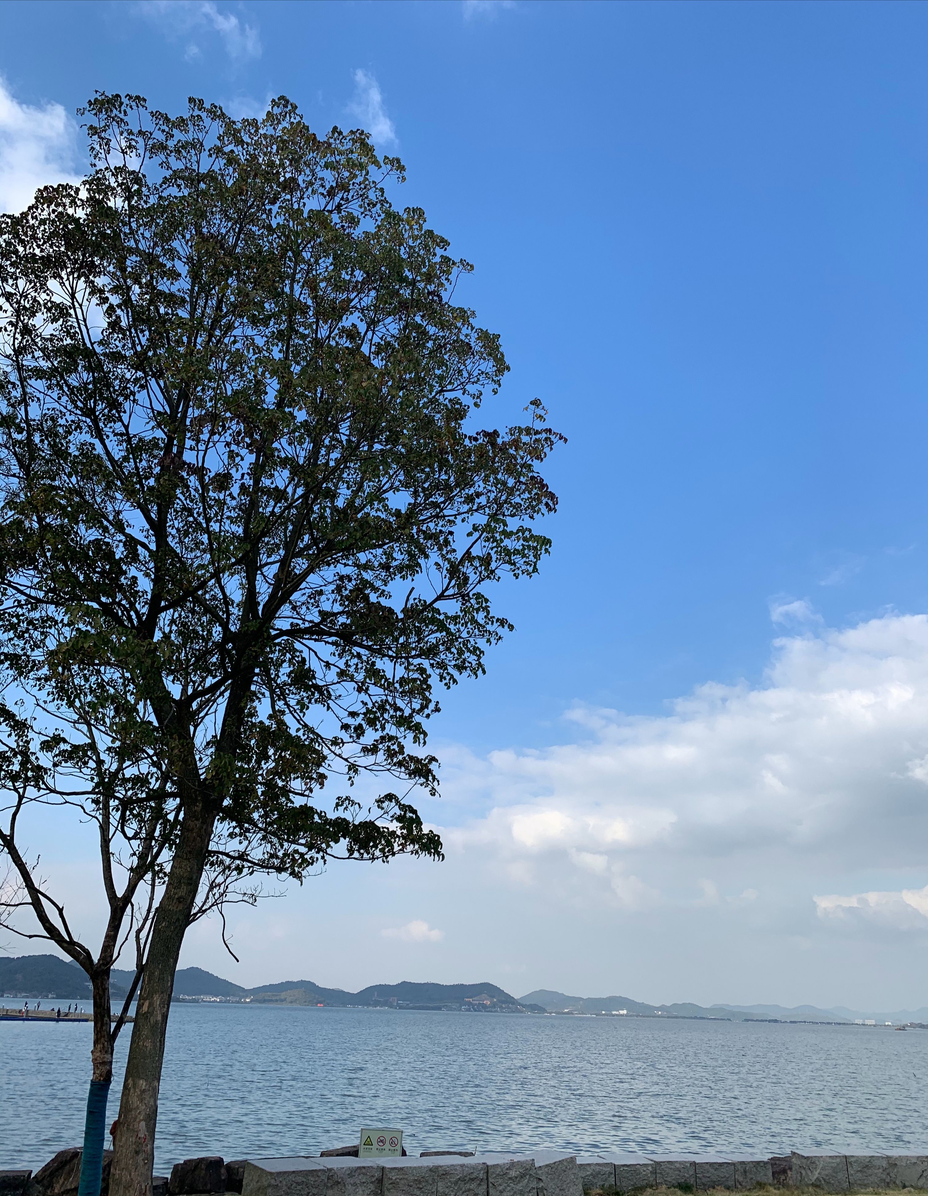  生活|#开启带感生活#游宁波东钱湖