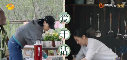 节目组|《向往5》导演担心请不到的嘉宾，却被张艺兴几句微信给轻松搞定