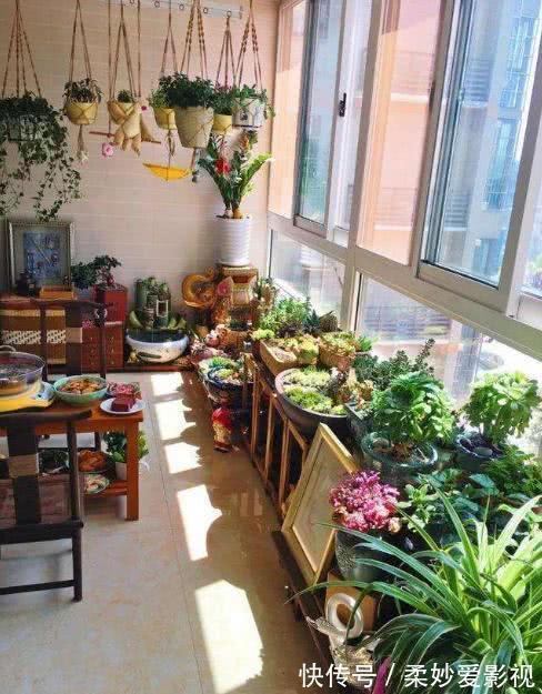吊兰|贵州一户人家，阳台从不堆杂物，打造成小花园，邻居看了都羡慕