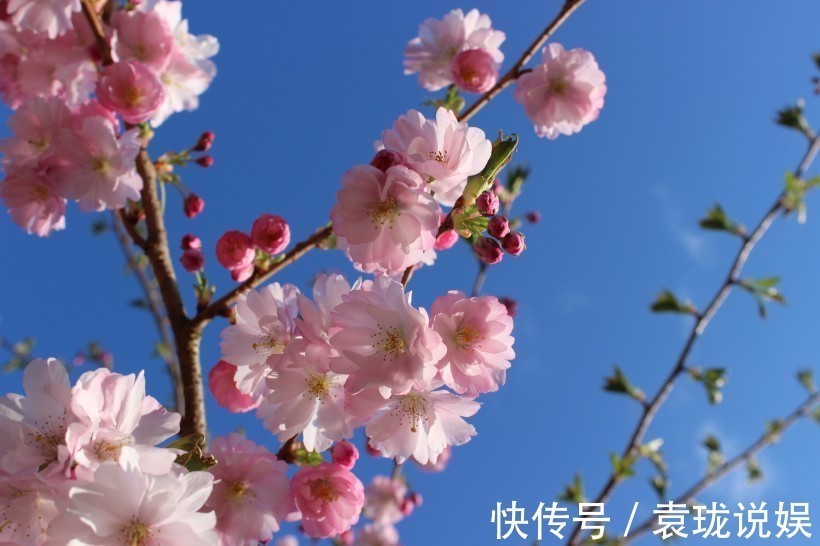 肖女|有苦有泪不轻言的3大生肖女，不想让人看不起，骨子里透露着骄傲