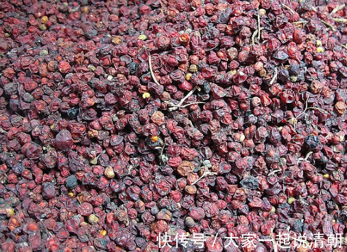 金桔茶|肝病死对头,天然解毒王,多吃排出肝毒,远离肝病困扰!