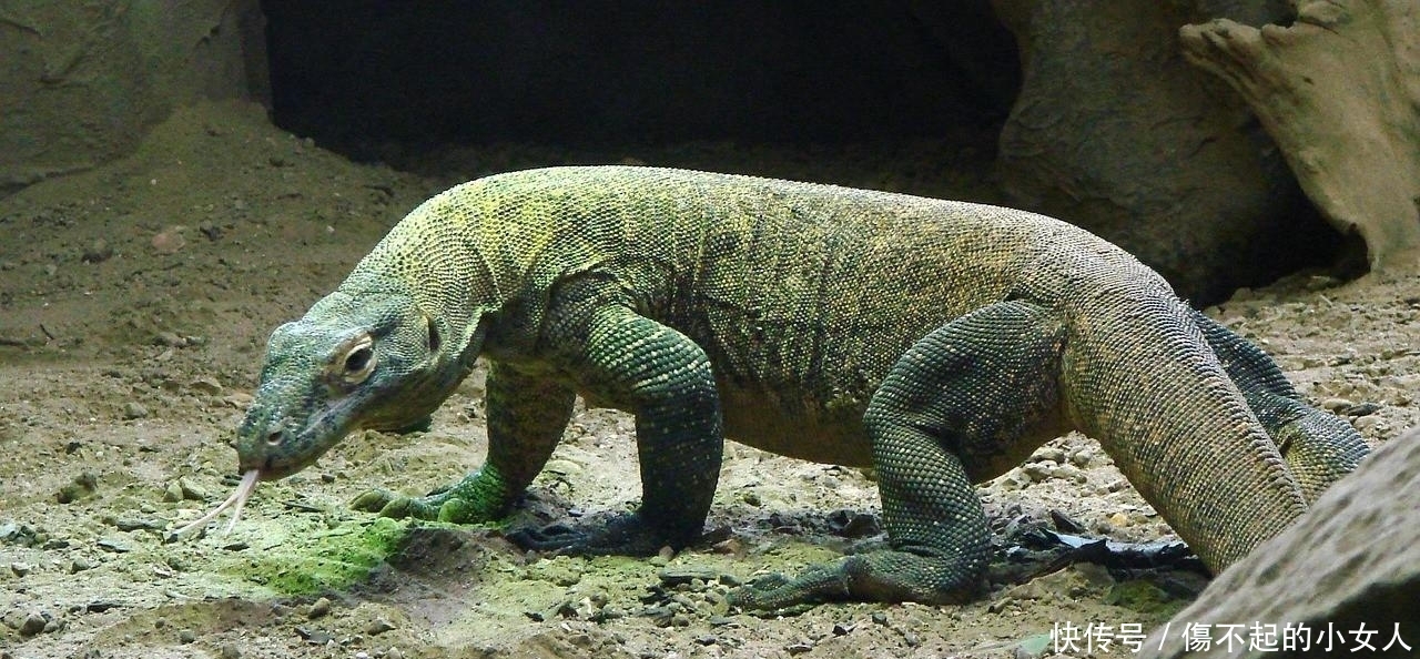 色盲症|趣味冷知识分享,奇怪好玩的知识又增加啦!