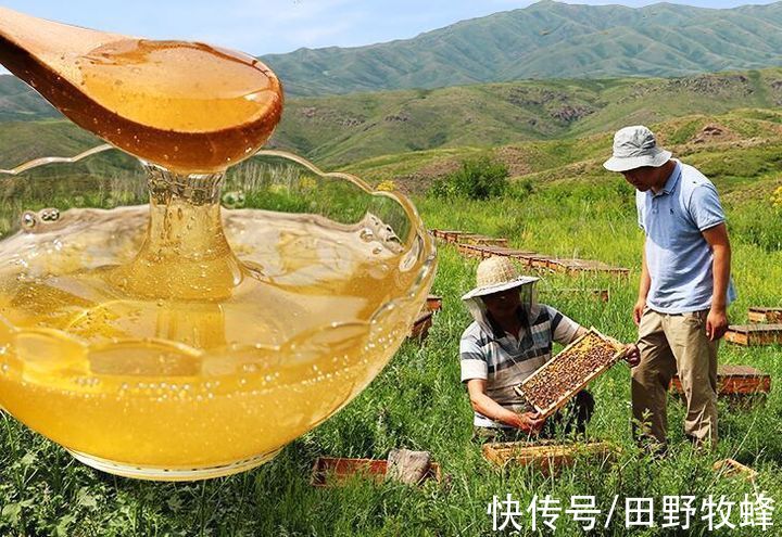 结晶|纯蜂蜜不结晶什么原因?蜂蜜不结晶是假的吗?