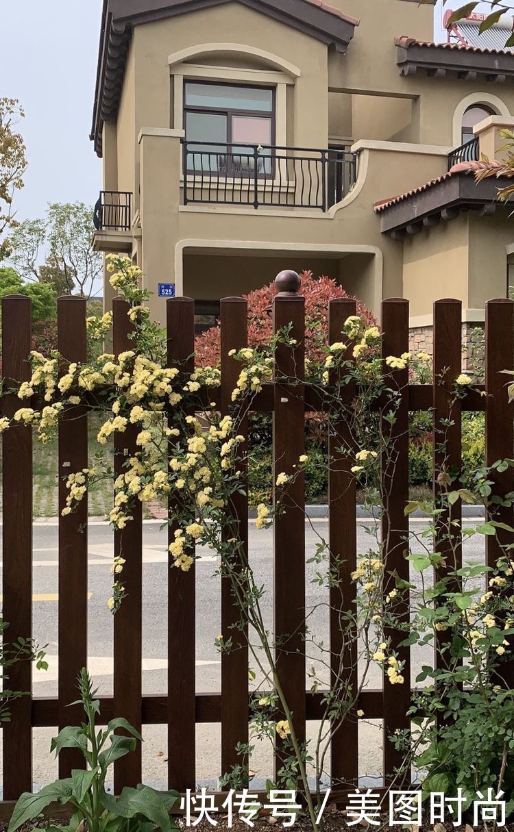 花了7个月,亲手打造123㎡别墅花园,网友:看一眼都会陶醉其中