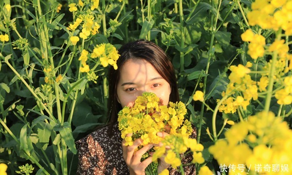 中年|罗平油菜花有多美?游客说:每年都来,怎么也看不够