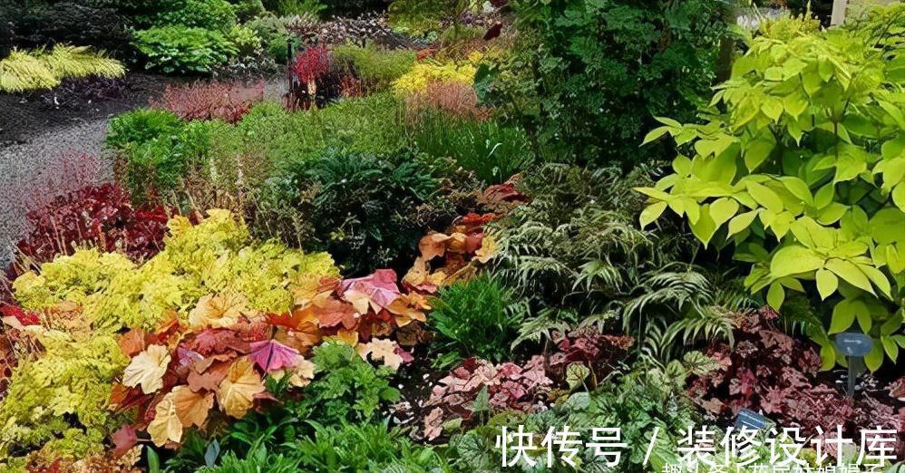 4款秋天栽培的花卉，大家都了解吗？秋天到了，赶紧在家里养几盆