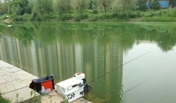 整个水域钓空,老钓手却用“这个方法”,爆护十多斤,一定要学会