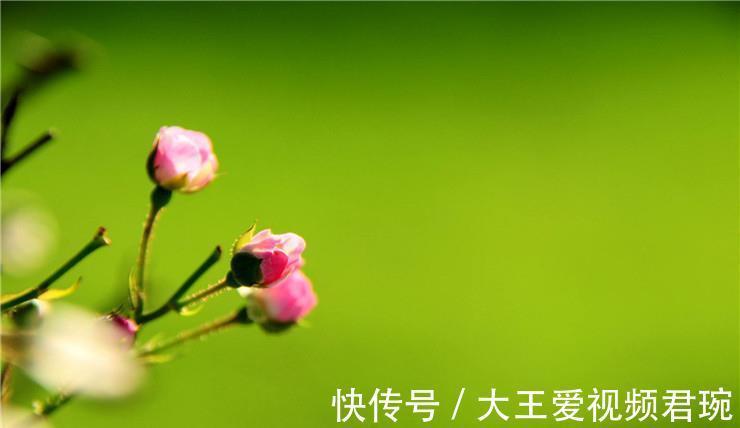 多言|一个人越来越走下坡路的两个征兆，大多是这两个字