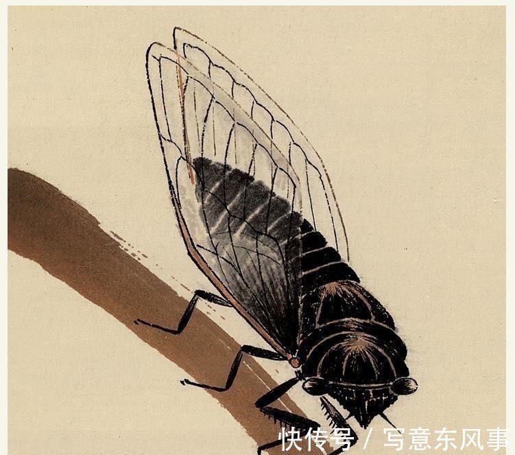 蝉#齐白石的《蝉》为何能拍出8亿天价放大40倍再看,细节决定一切!