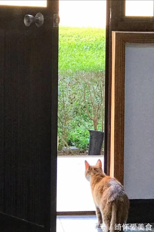 骗术|骗术了得,我老师都上当了,医生:揭秘高血压疾病的8大骗局