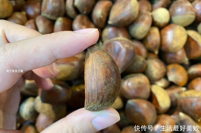 板栗|板栗买圆的还是扁的好教你4个挑选妙招，买到手的个个香甜粉糯