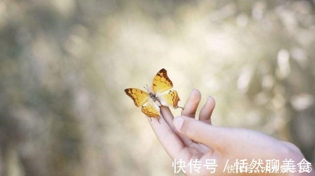 相思枫叶丹|李煜一首深藏不露的词,全文无一怨字,却写出了痴情人最深的怨念