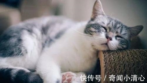 bug|这9条生活中的趣味冷知识，都听说过的一定是猎奇达人