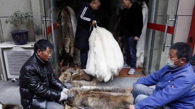 曾经的暴利行业“凉了”?价格上万难买,如今却跌到千元无人要?