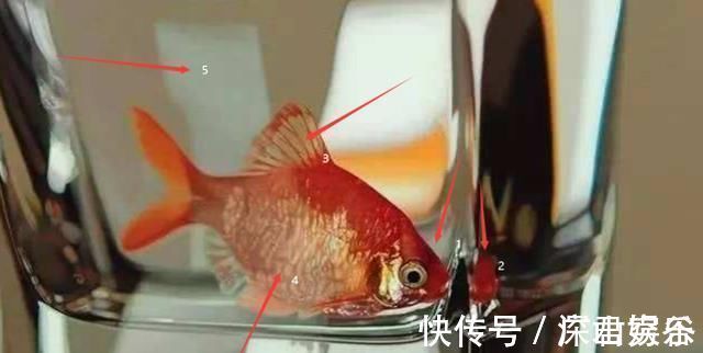 超写实主义@他画了一条金鱼,放大5倍后,网友大呼:相机可以扔了