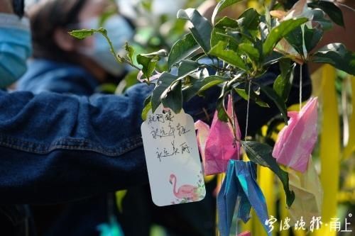  集体|一首《树葬》见证一场告别，21户树葬者家庭集体送别亲人