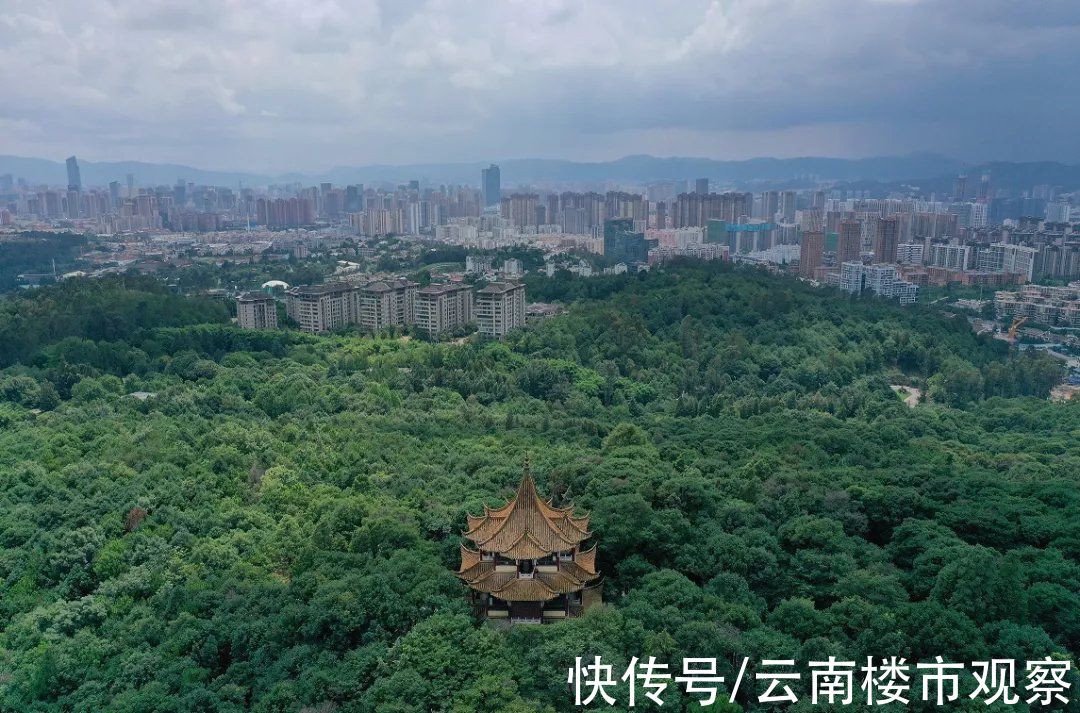 艺术中心|开盘即热销，昆明世博这个C位红盘圈粉无数