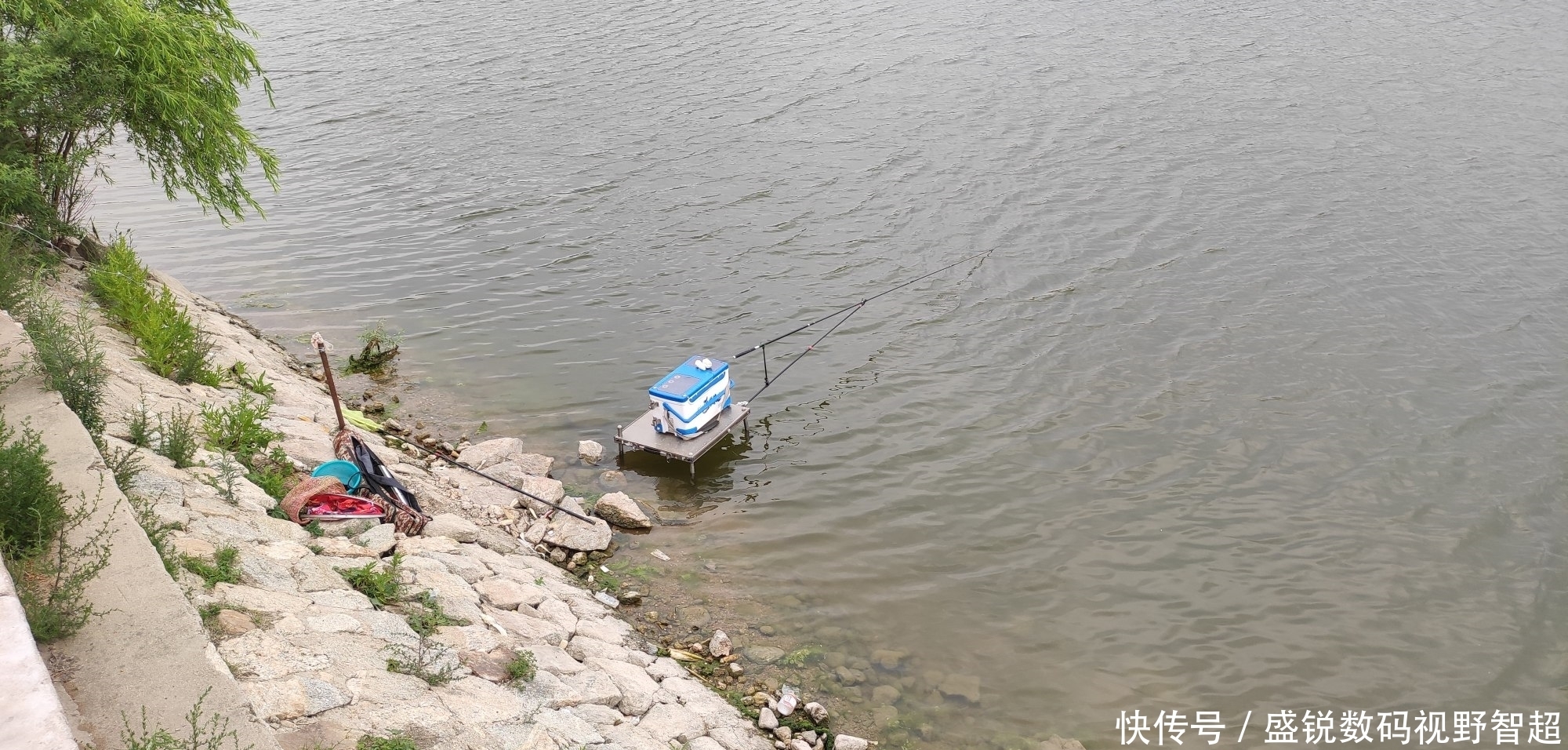 很多钓友都不信,用此方法钓草鱼能爆护,实践才是真理