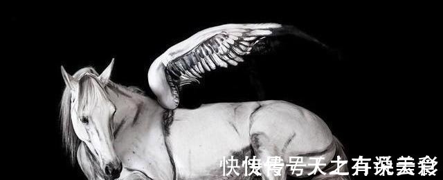 变色龙&有趣的人体彩绘:他在人体上画动物,简直以假乱真