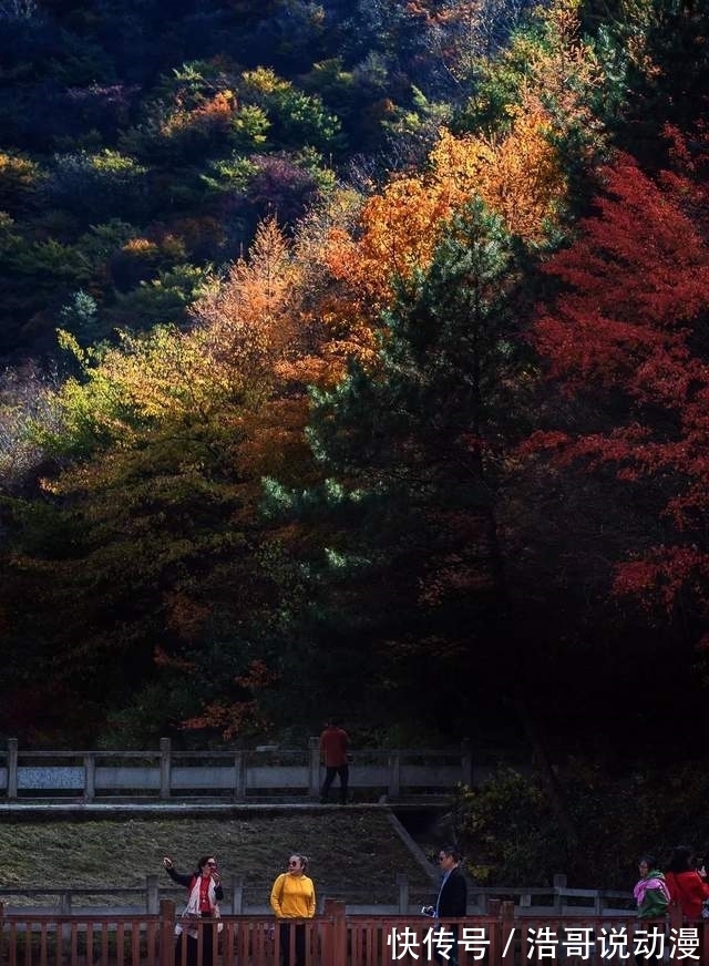 漫山|「曾家山」“多彩曾家山，浪漫红叶季”