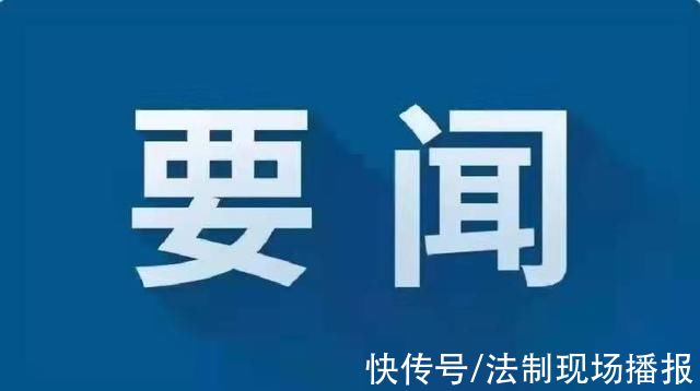 国产品牌|2021年中国市场手机出货量3.51亿部，同比增13.9%