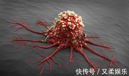 放在冰箱|再三提醒一夜变毒药的3种食物,很容易致癌,需要注意