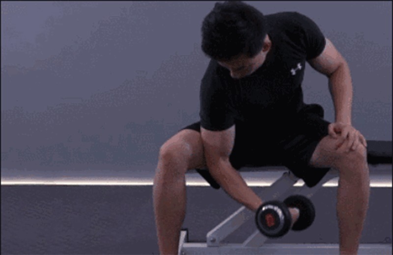 训练|怎样才能练出更大的肱二头肌学会这几点，你会有强健的臂膀