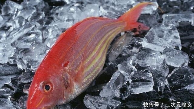 行家|以后去市场买这5种鱼,连鱼铺老板都会夸你是行家