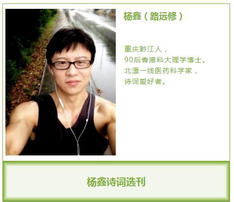 七夕|杨鑫诗词20首:落日多情犹识我，雪花无主恰依风