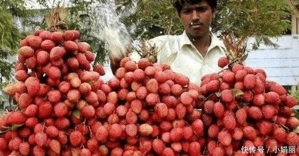 印度把“中国特产”带回国大量种植,效仿中国出口,却遭四处碰壁