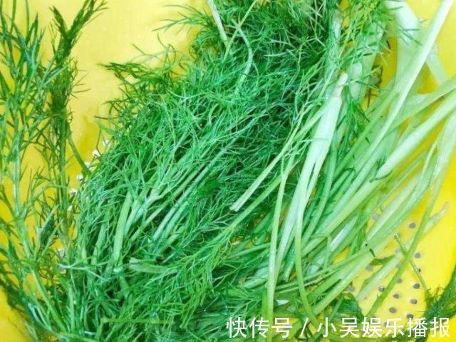 杀菌消炎|女人若有妇科病，4种常见的“零食”敞开吃，杀菌消炎、远离炎症