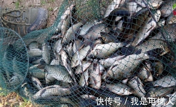 钓鱼|冬季再冷都可以钓鱼，久坐无鱼？未必是天冷，这些问题不能忽视！