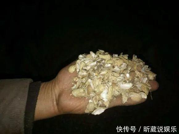 4种垃圾不会分类别担心,埋在花盆底,叶子绿得直滴油!