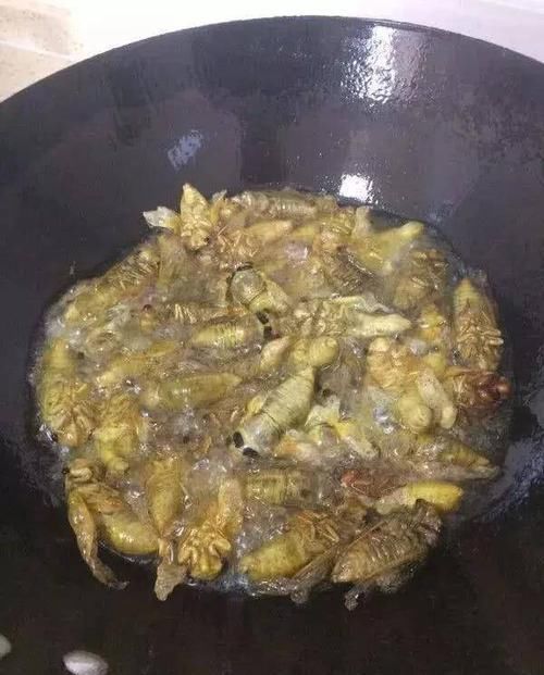  好吃|继皮皮虾后，又一“宵夜霸主”产生了，网友虽长得丑但却好吃