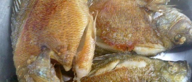 太阳鱼5种最好吃的做法,简单美味又下饭,看看你喜欢吃哪种