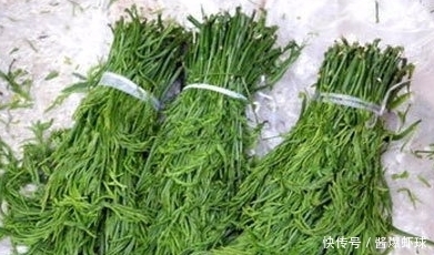 野菜|农村这三种野菜,清肺止咳,预防癌症,利尿除湿,你吃过吗?