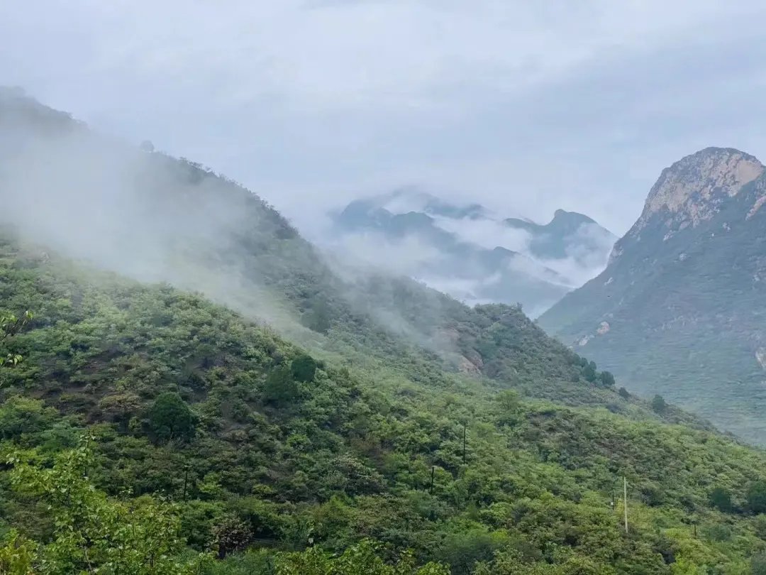 彩霞|彩霞与烟雨同在，仰望无限风光！