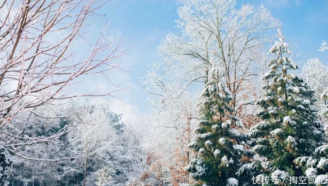 张可久|下雪啦！不读这20句诗词，你就不知道雪有多美