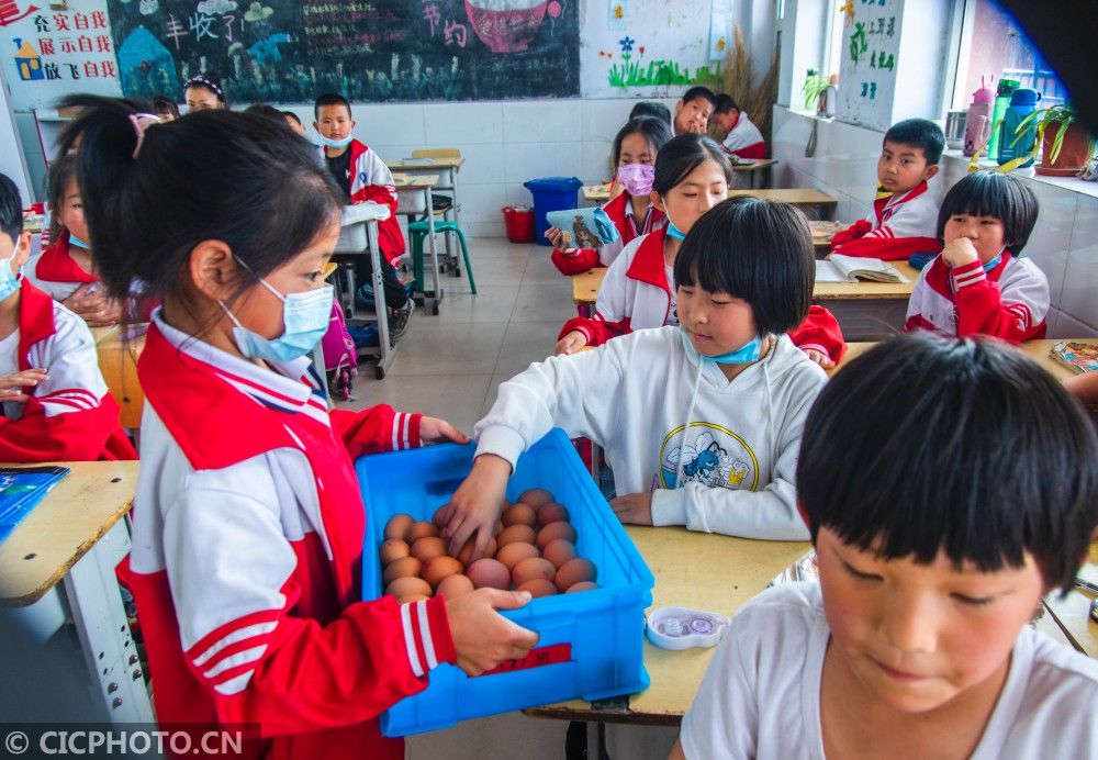 柏乡|河北柏乡：学校营养餐，一个都不能少