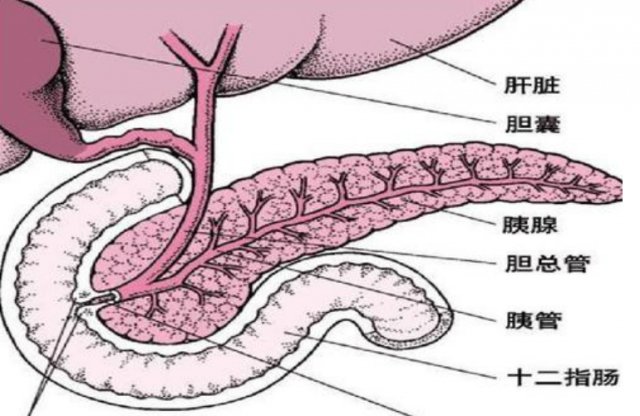 肝癌|癌症也有“小性格”！摸透它的脾气识别早期征兆