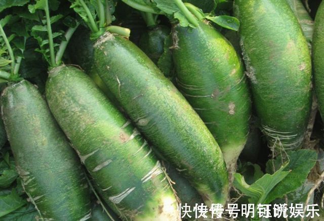 排毒|女性想要身体好,每天食用此物,赶走癌细胞,促进排毒,延缓衰老