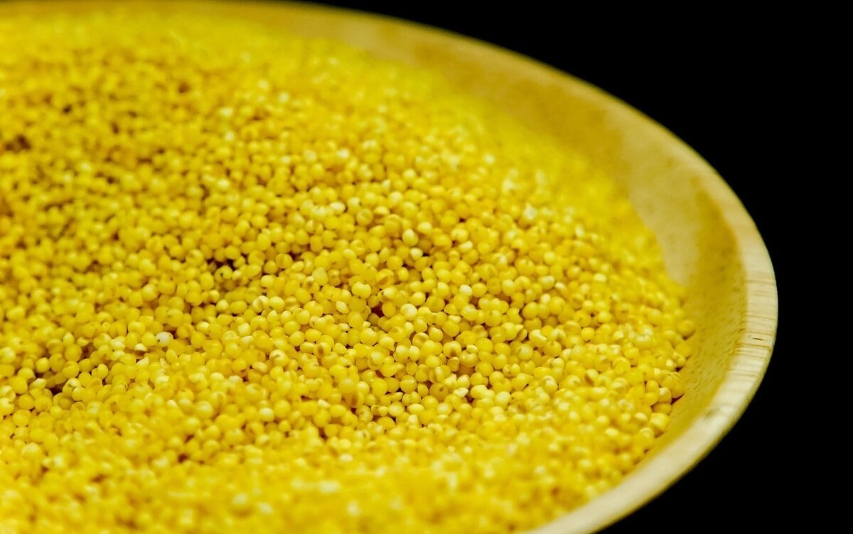 熬小米粥时，不要直接用水煮了，教你几个小诀窍，香浓黏稠更好喝