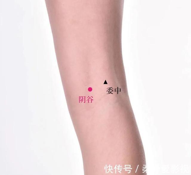 合穴|12合穴,为六腑打好基础,脏腑健康人才健康