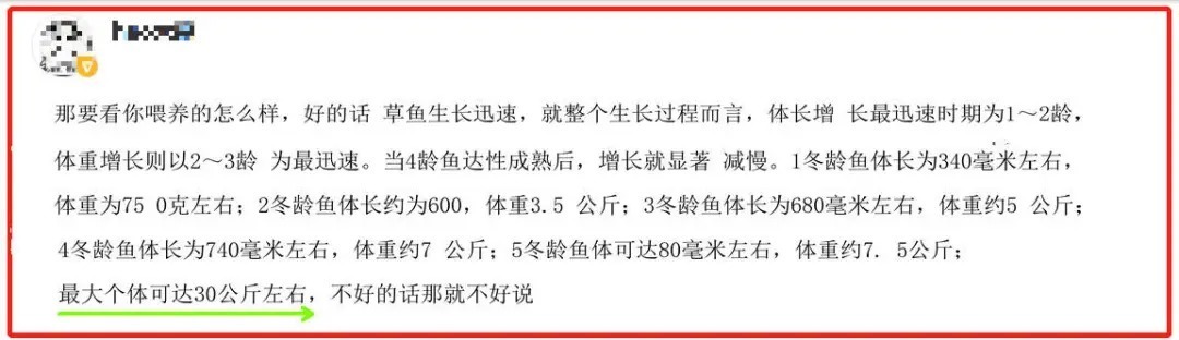 真的假的?男子称钓获“扁担长”草鱼王引争议,网友:怎么可能长这么大