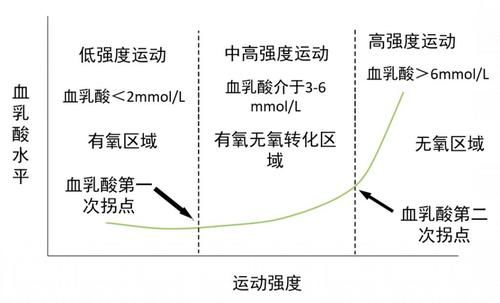 心肺强化耐力强化区别