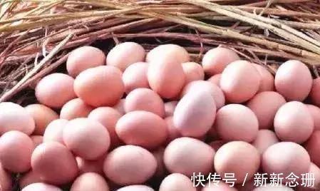 营养师|买鸡蛋时红壳的好还是白壳的好？营养师说完，才知很多人选错了