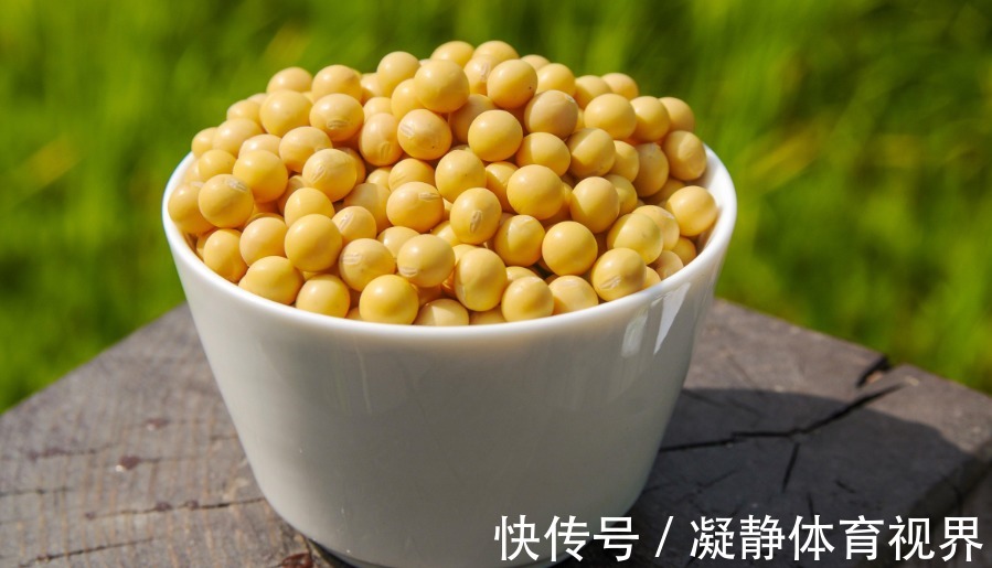 抓把“黄豆”养绿植，盆栽不施肥，光浇水就能养得叶绿根壮